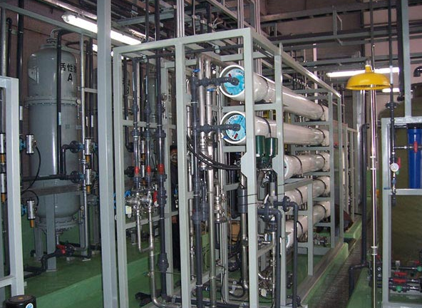 ����ˮ�O��΢�מVĤ�İl(f��)չڅ��